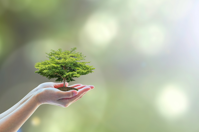 The Environmental Rewards of Recycling Old Electronics